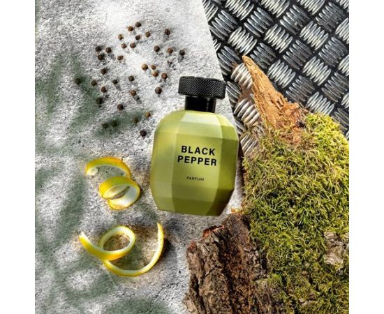 GLANTIER SIGNATURE PERFUME BLACK PEPPER 26% FOR MEN 100 ML - Smaržas vīriešiem