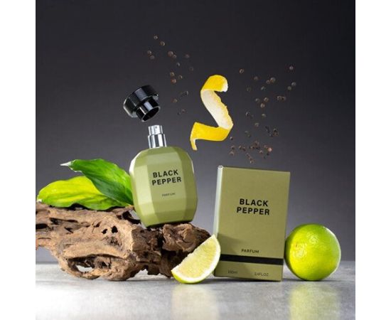 GLANTIER SIGNATURE PERFUME BLACK PEPPER 26% FOR MEN 100 ML - Smaržas vīriešiem