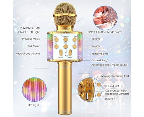 RoGer WS-858L Illuminated Bluetooth Караоке микрофон с динамиком