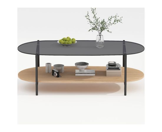 Coffee table CINDY 120x55xH40cm, grey glass/melamine oak