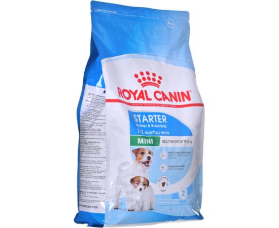 ROYAL CANIN SHN Mini Starter Mother & Babydog - dry dog food - 4 kg