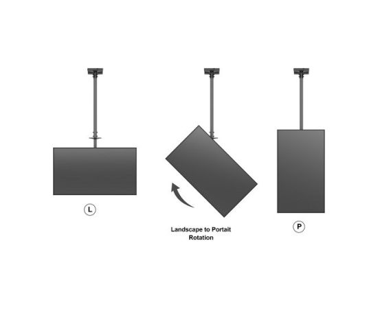 Multibrackets MB-5477 Потолочный кронштейн для 2 телевизоров до 65" / 50kg