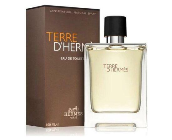 Hermes Terre D'Hermes Edt Spray 100ml