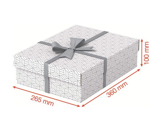 Uzglabāšanas kaste ESSELTE, ar vāku, 265x100x360, balta/pelēka (3gab./iepak.)