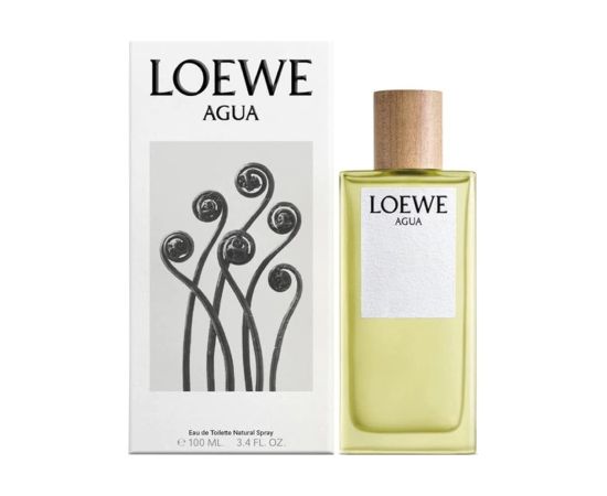 Loewe Agua Edt Spray 100 ml