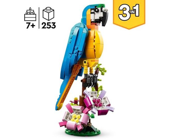 LEGO Creator Eksotisks papagailis (31136)