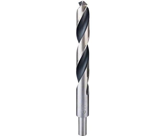 Metāla urbis Bosch PointTeQ; 19x198 mm; 1 gab.