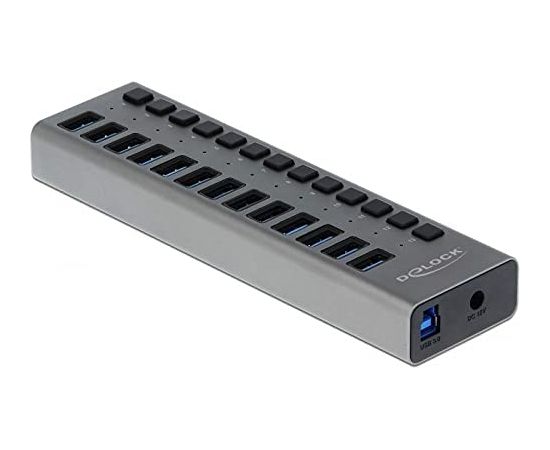 Delock External SS USB Hub 13Ports + Switch - 63738