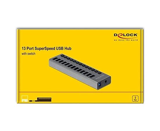 Delock External SS USB Hub 13Ports + Switch - 63738