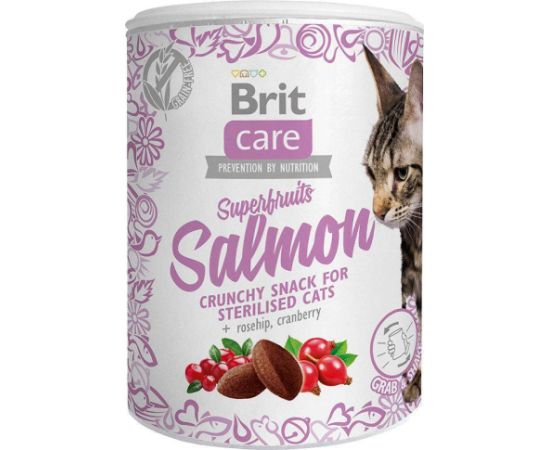 BRIT Care Superfruits Salmon - cat treats - 100 g