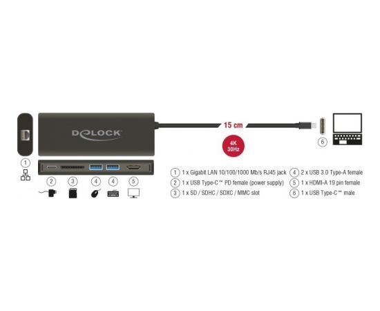 DeLOCK USB C 3.1 Dockingstation