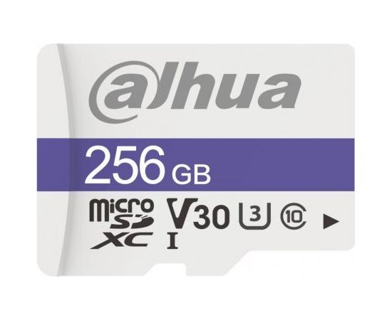 Dahua Technology TF-C100 MicroSDXC 256 GB Class 10 U3 V30 (TF-C100/256GB)