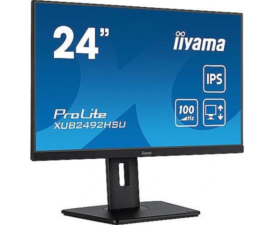 iiyama Monitor ProLite XUB2492HSU-B6