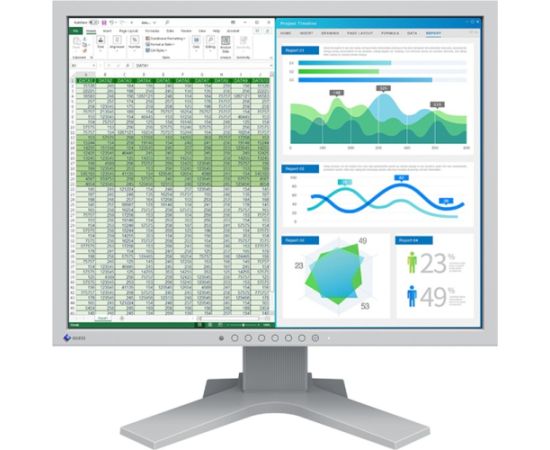 EIZO FlexScan S2134, LED monitor - 21.3 - gray, DisplayPort, DVI-D, VGA