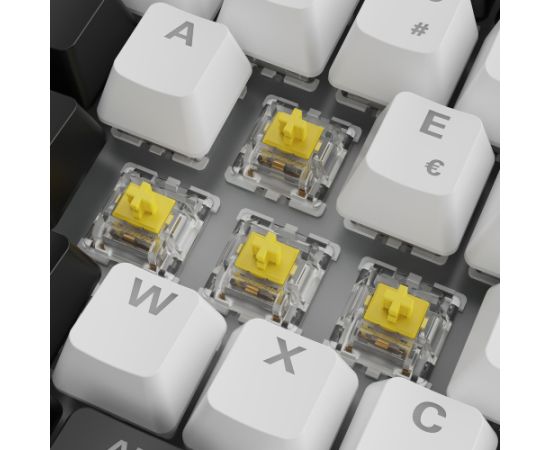 Sharkoon SGK50 S3 White, Gateron Yellow