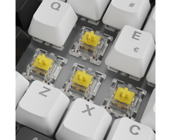 Sharkoon SGK50 S3 White, Gateron Yellow