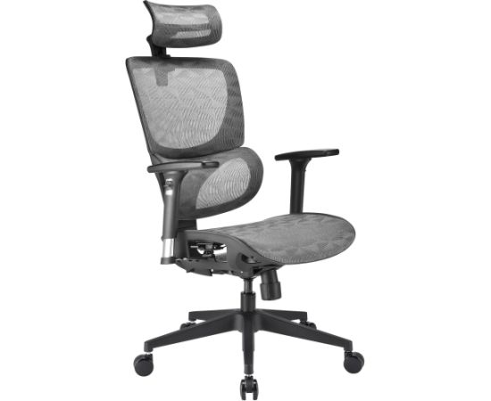 Sharkoon office chair OfficePal C30M, gaming chair (grey)