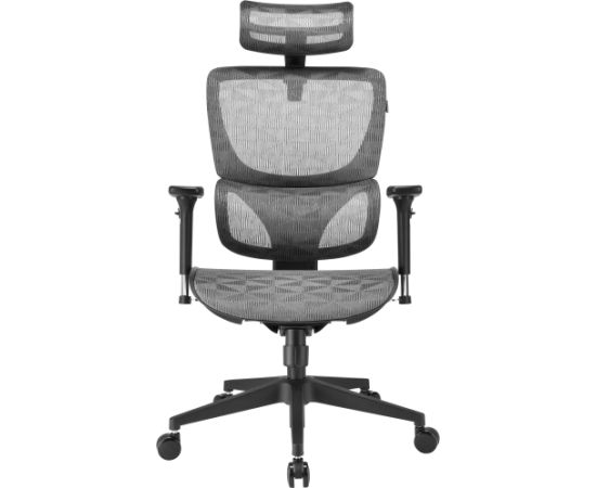 Sharkoon office chair OfficePal C30M, gaming chair (grey)