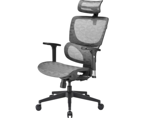 Sharkoon office chair OfficePal C30M, gaming chair (grey)