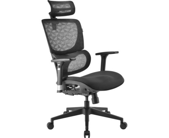 Sharkoon office chair OfficePal C30, gaming chair (black)