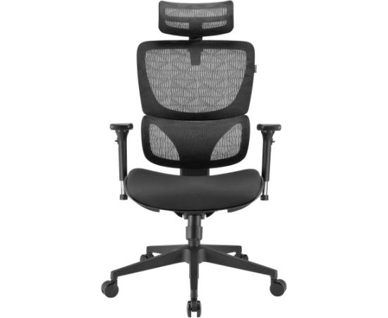 Sharkoon office chair OfficePal C30, gaming chair (black)