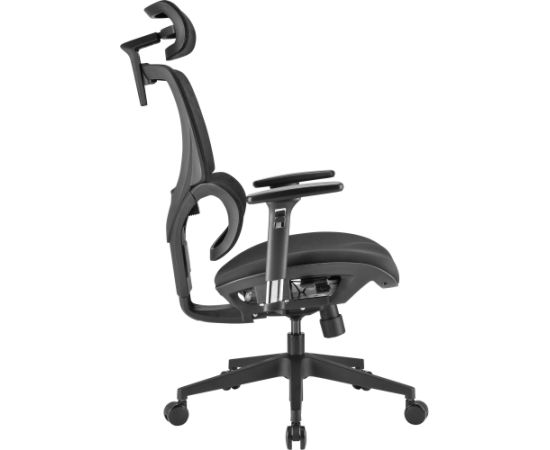 Sharkoon office chair OfficePal C30, gaming chair (black)