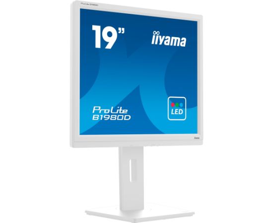 iiyama B1980D-W5, LED monitor - 19 - white, VGA, DVI Monitori