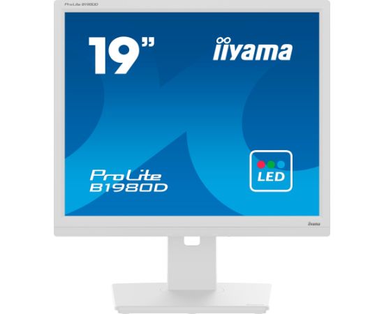 iiyama B1980D-W5, LED monitor - 19 - white, VGA, DVI Monitori