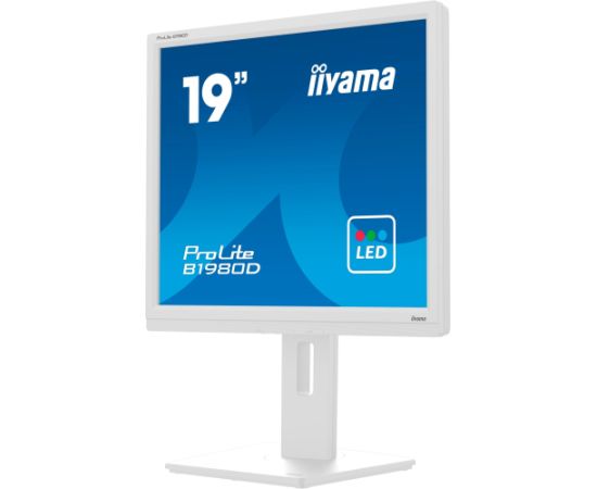 iiyama B1980D-W5, LED monitor - 19 - white, VGA, DVI Monitori