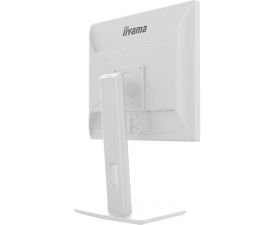 iiyama B1980D-W5, LED monitor - 19 - white, VGA, DVI Monitori