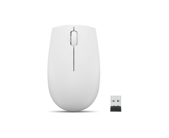 Lenovo 300 WIRELESS ?GREY mouse Ambidextrous RF Wireless Optical 1000 DPI