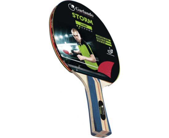 Table tennis bat GARLANDO Storm  2 starr