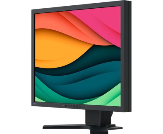 EIZO FlexScan S2134, LED monitor - 21.3 - black, DisplayPort, DVI-D, VGA