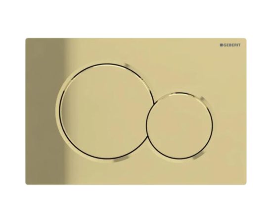 Geberit taustiņš Sigma01, 246x164 mm, special brass Встроенные фреймы