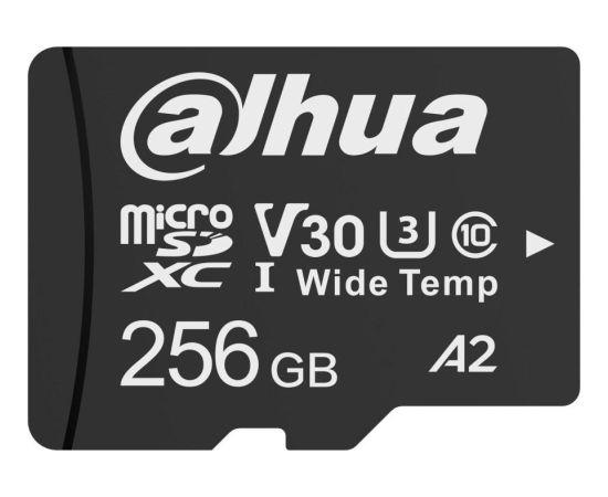 Dahua Technology TF-W100 MicroSDXC 256 GB Class 10 U1 A2 V30 (TF-W100-256GB)