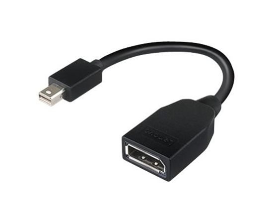 Lenovo Mini-DisplayPort to DisplayPort Adapter