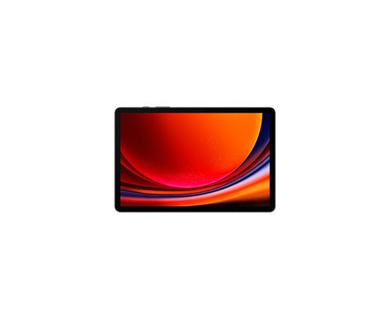 Samsung Galaxy Tab S9 SM-X710N 256 GB 27.9 cm (11") Qualcomm Snapdragon 12 GB Wi-Fi 6 (802.11ax) Android 13 Graphite