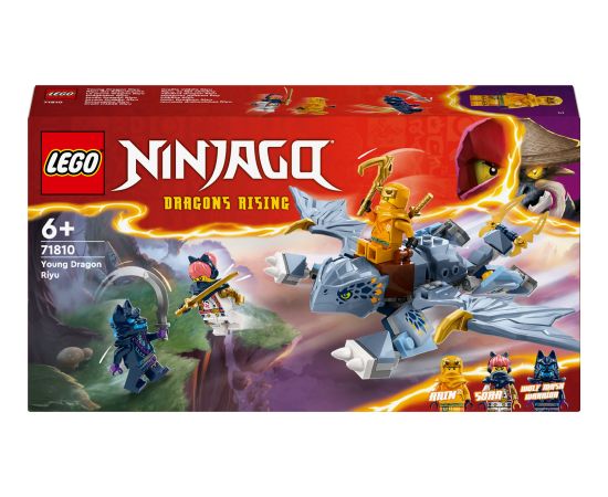 LEGO Ninjago Smoczątko Riyu (71810)