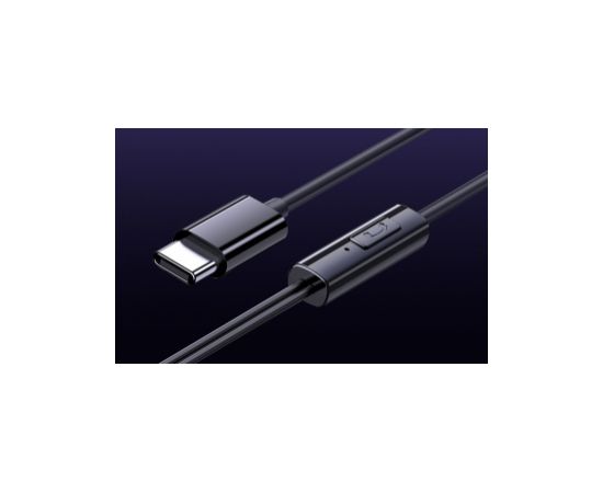 Austiņas Baseus CZ11 Black
