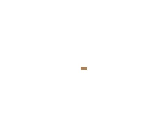EsteÉ Lauder Double Wear / Maximum Cover 30ml SPF15