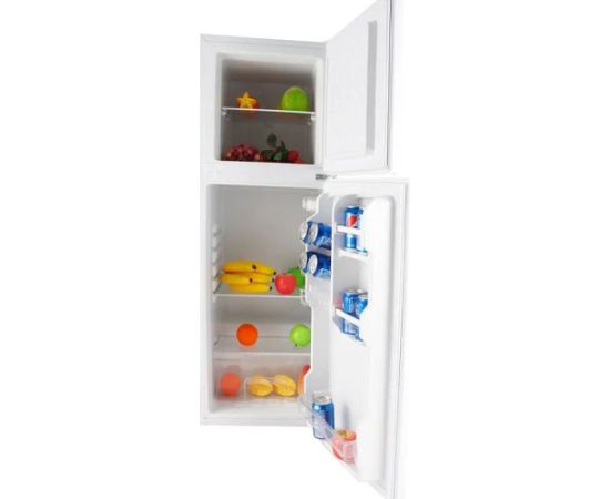 Fridge Schlosser RFL138