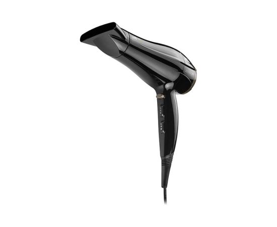 LAFE SWJ-002 hair dryer 2200 W Black