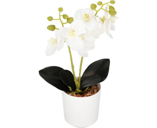 Mākslīgā orhideja Springos HA7423
