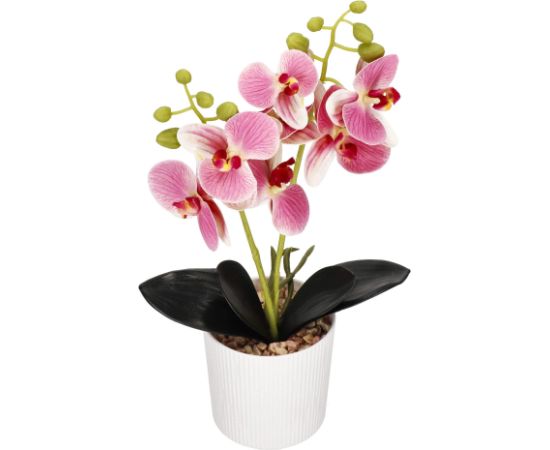Искусственная орхидея Springos HA7424