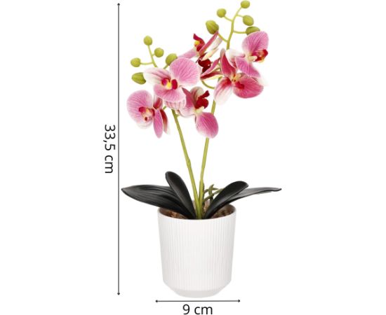 Mākslīgā orhideja Springos HA7424