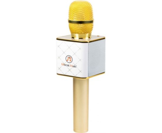 Mikrofons Technaxx MusicMan Karaoke (BT-X31GOLD)