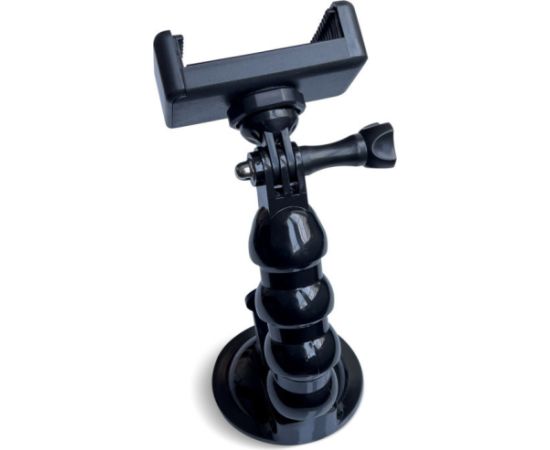 D-Fruit GoPro Suction Cup Mount