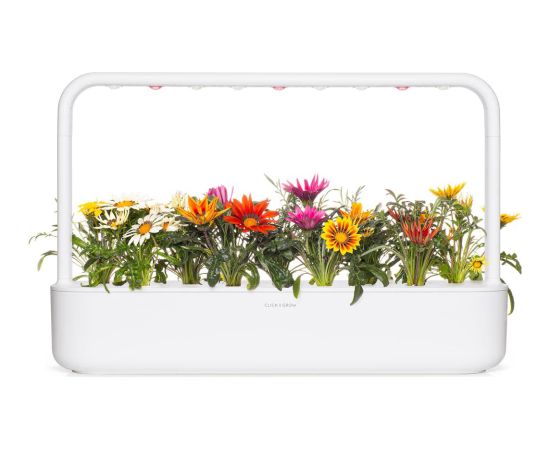 Click & Grow Smart Refill Газания 3 шт.