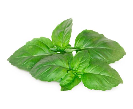 Click & Grow Smart Garden refill Marseille Basil 3pcs