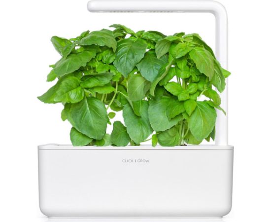 Click & Grow Smart Garden refill Марсельский базилик 3 шт.